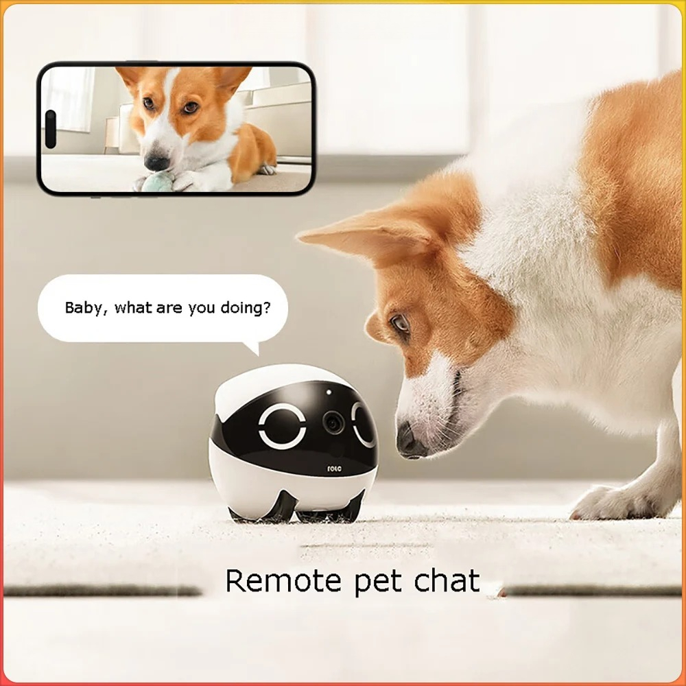 Home Security Pet Tumbler Desi - Home Security Robots ulasan dan harga